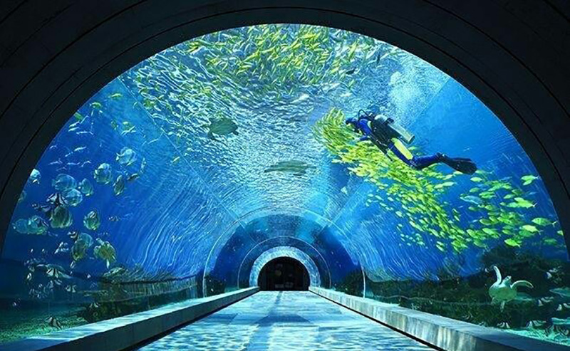 三亞潛水攻略，潛水內幕（原文螞蜂窩）