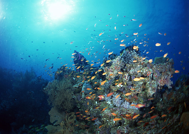 潛水有無(wú)身體條件和年齡限制？