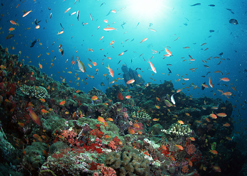 水下會(huì )遇到的問(wèn)題解決方法