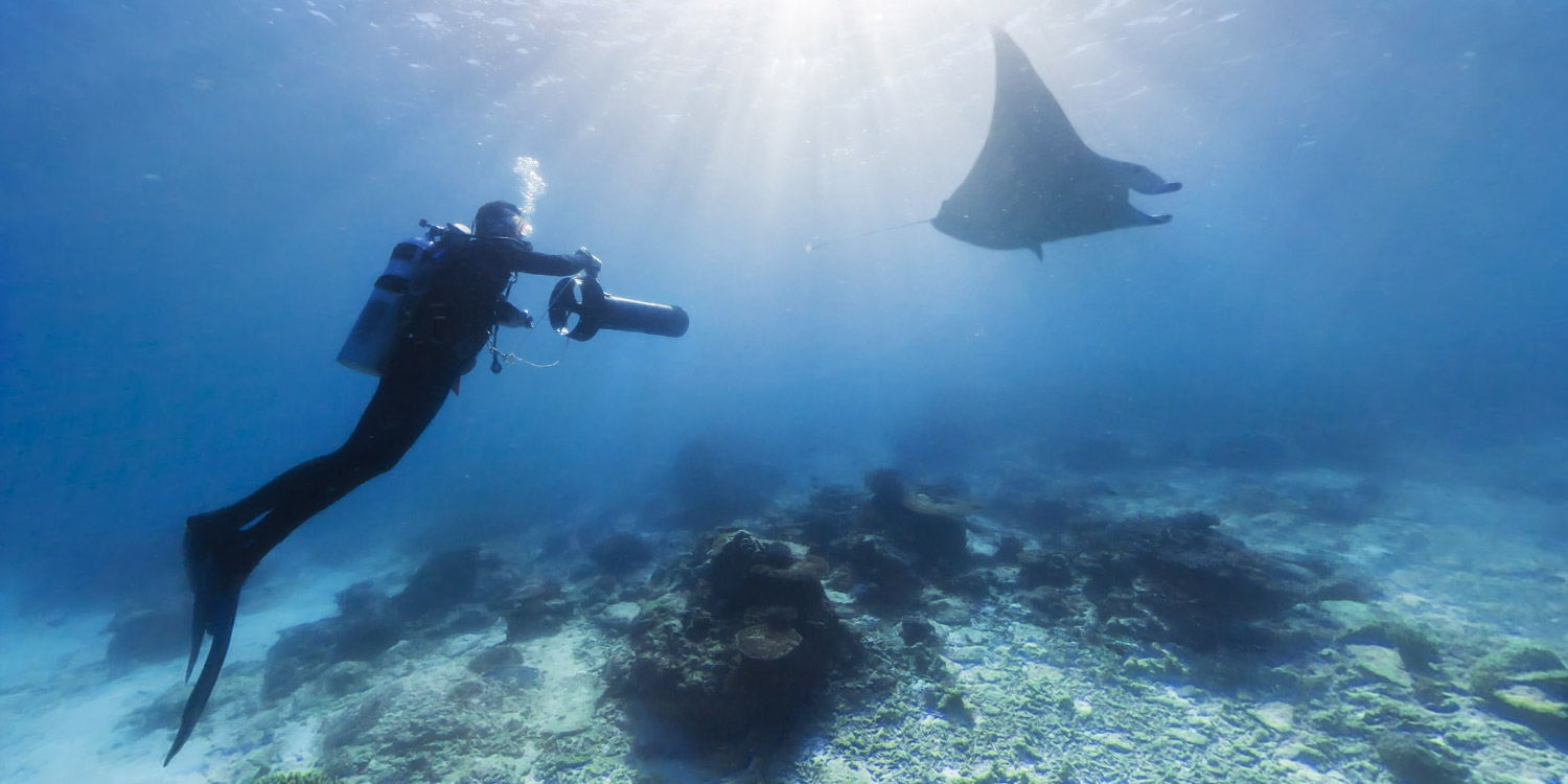 注意，這幾種情況下不能潛水