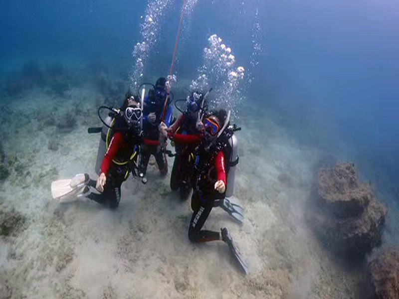 你的百潛是不是白潛了？