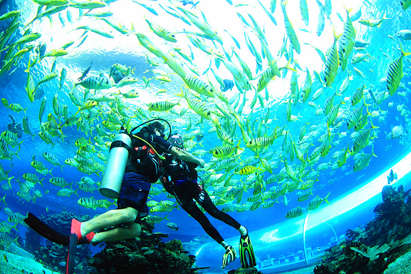 七個(gè)學(xué)習潛水的理由