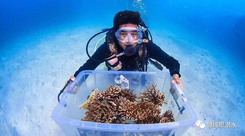 一起來(lái)保護我的海洋