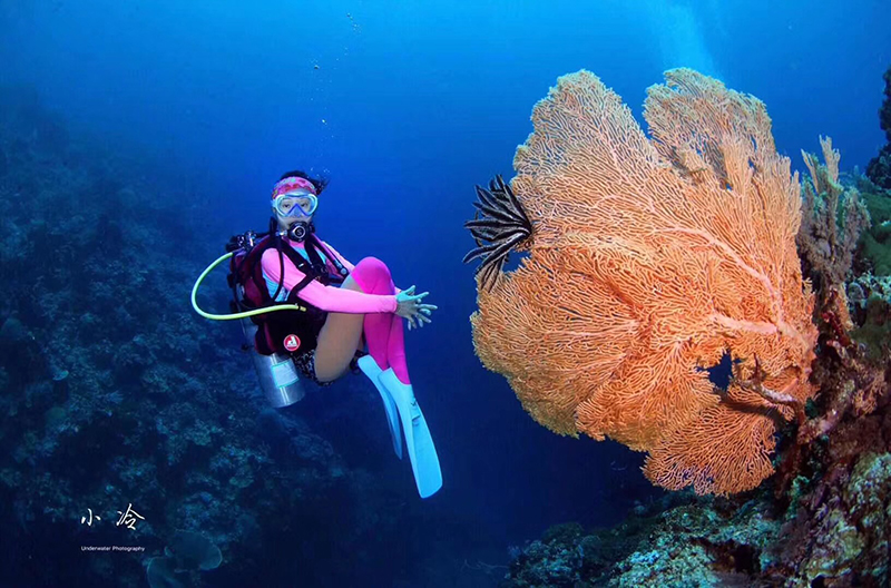 一起來(lái)保護我的海洋