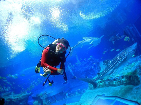 潛在水里，學(xué)做一條靜靜的魚(yú)