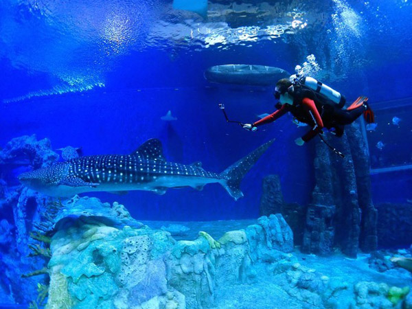 潛在水里，學(xué)做一條靜靜的魚(yú)