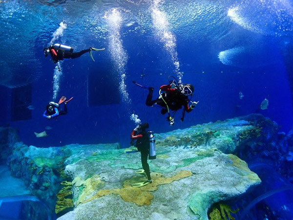 潛在水里，學(xué)做一條靜靜的魚(yú)