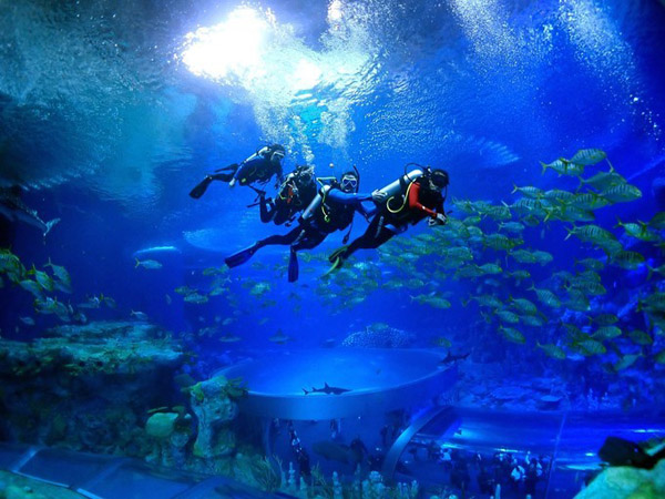 潛在水里，學(xué)做一條靜靜的魚(yú)