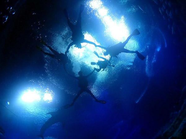 潛在水里，學(xué)做一條靜靜的魚(yú)