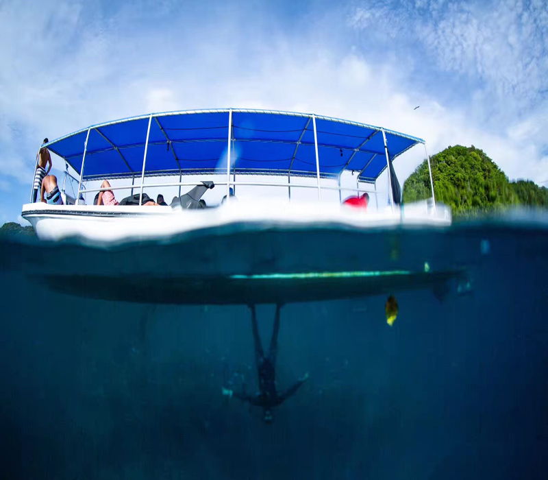 送給不會(huì )游泳卻向往海洋的你