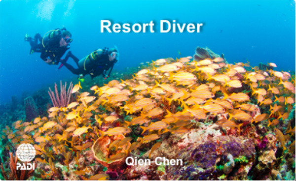 12/12正式上線(xiàn)！PADI 最新課程【休閑潛水員Resort Diver】 丨 一天拿證，潛遍全球