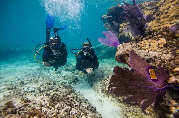 【水肺潛水安全嗎？】轉自PADI