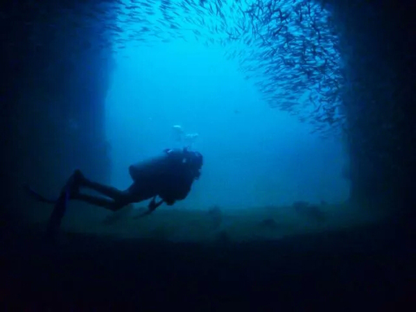 潛水拍照新姿勢，放下你的剪刀手，我們來(lái)這樣拍