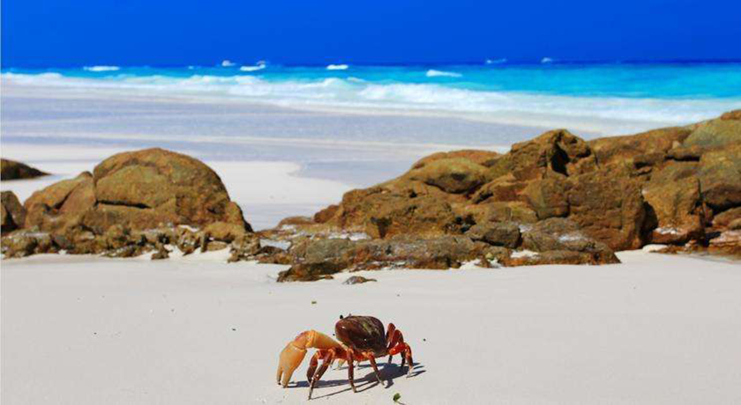 潛水專(zhuān)業(yè)術(shù)語(yǔ) 中-英對照表