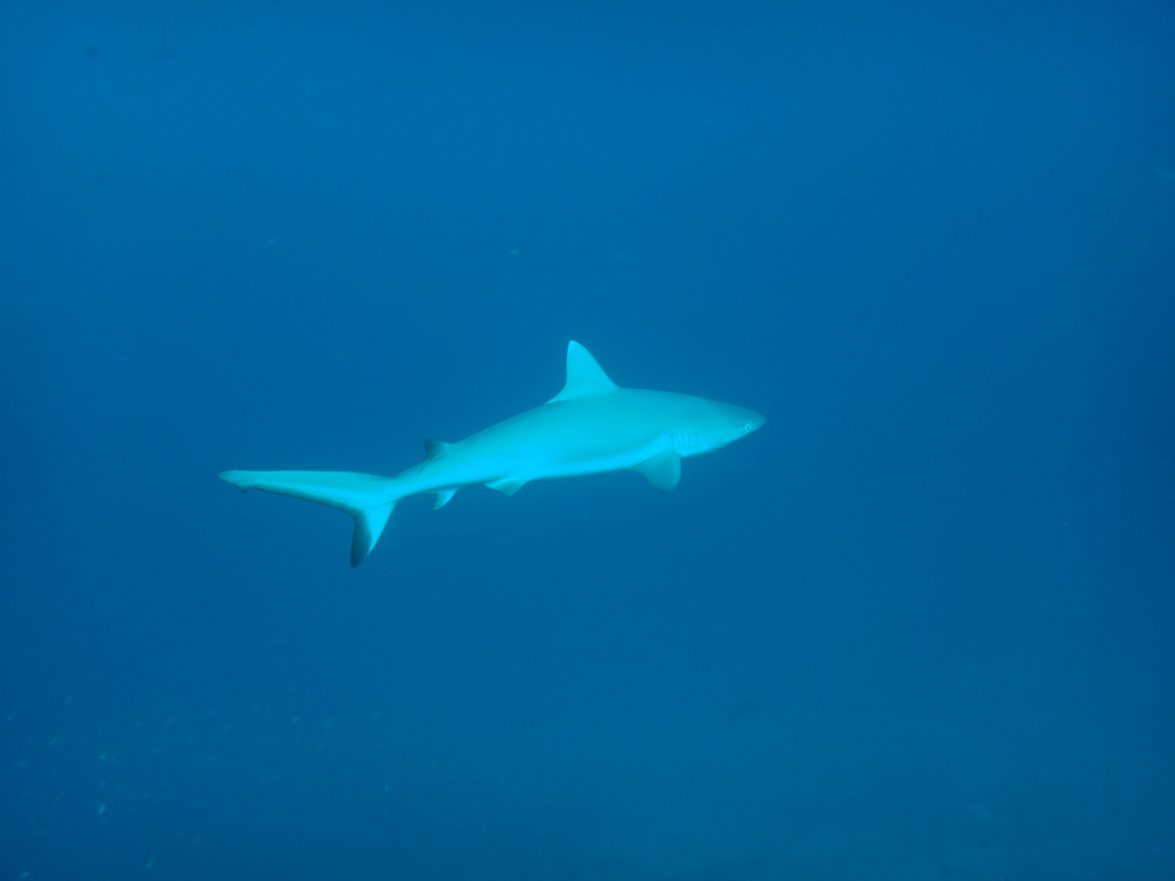 潛水鏡度數的問(wèn)題