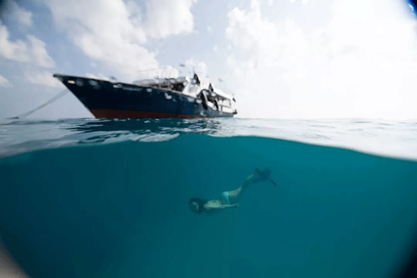 FX的船宿之旅---馬爾代夫（四方線(xiàn)）