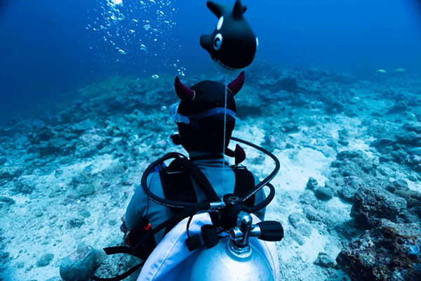 FX的船宿之旅---馬爾代夫（四方線(xiàn)）