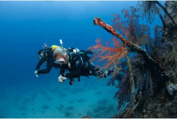 成為潛水員之前的你，是不是也問(wèn)過(guò)這些問(wèn)題？