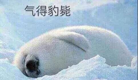 原來(lái)你是這樣的潛水員妹子！