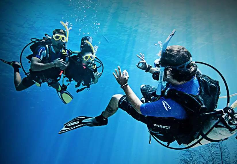 原來(lái)你是這樣的潛水員妹子！