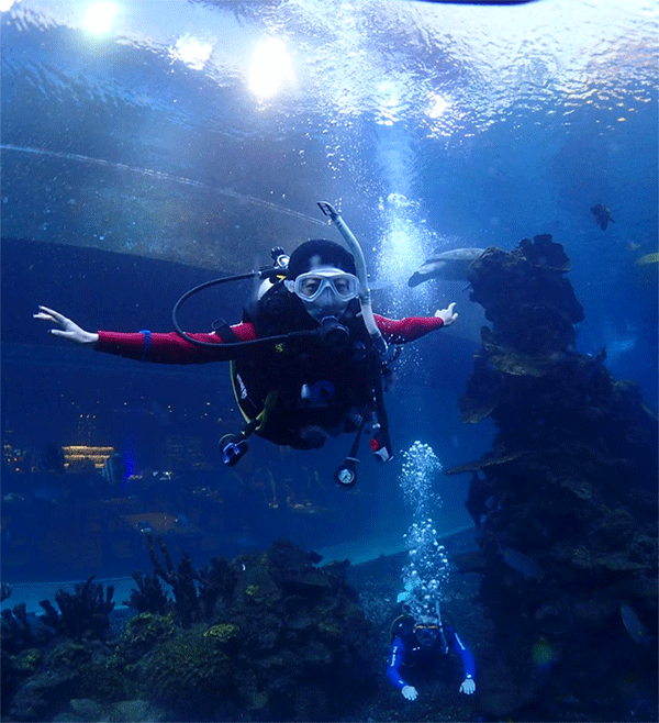 潛水常見(jiàn)問(wèn)題，原來(lái)潛水沒(méi)你想的那么難