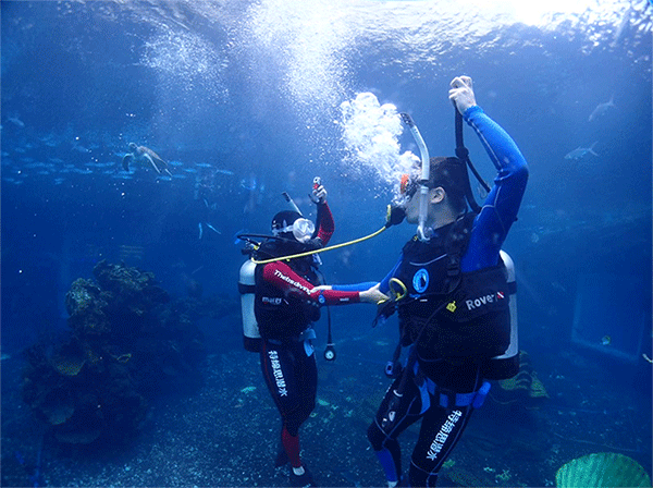 潛水常見(jiàn)問(wèn)題，原來(lái)潛水沒(méi)你想的那么難