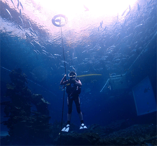 潛水常見(jiàn)問(wèn)題，原來(lái)潛水沒(méi)你想的那么難