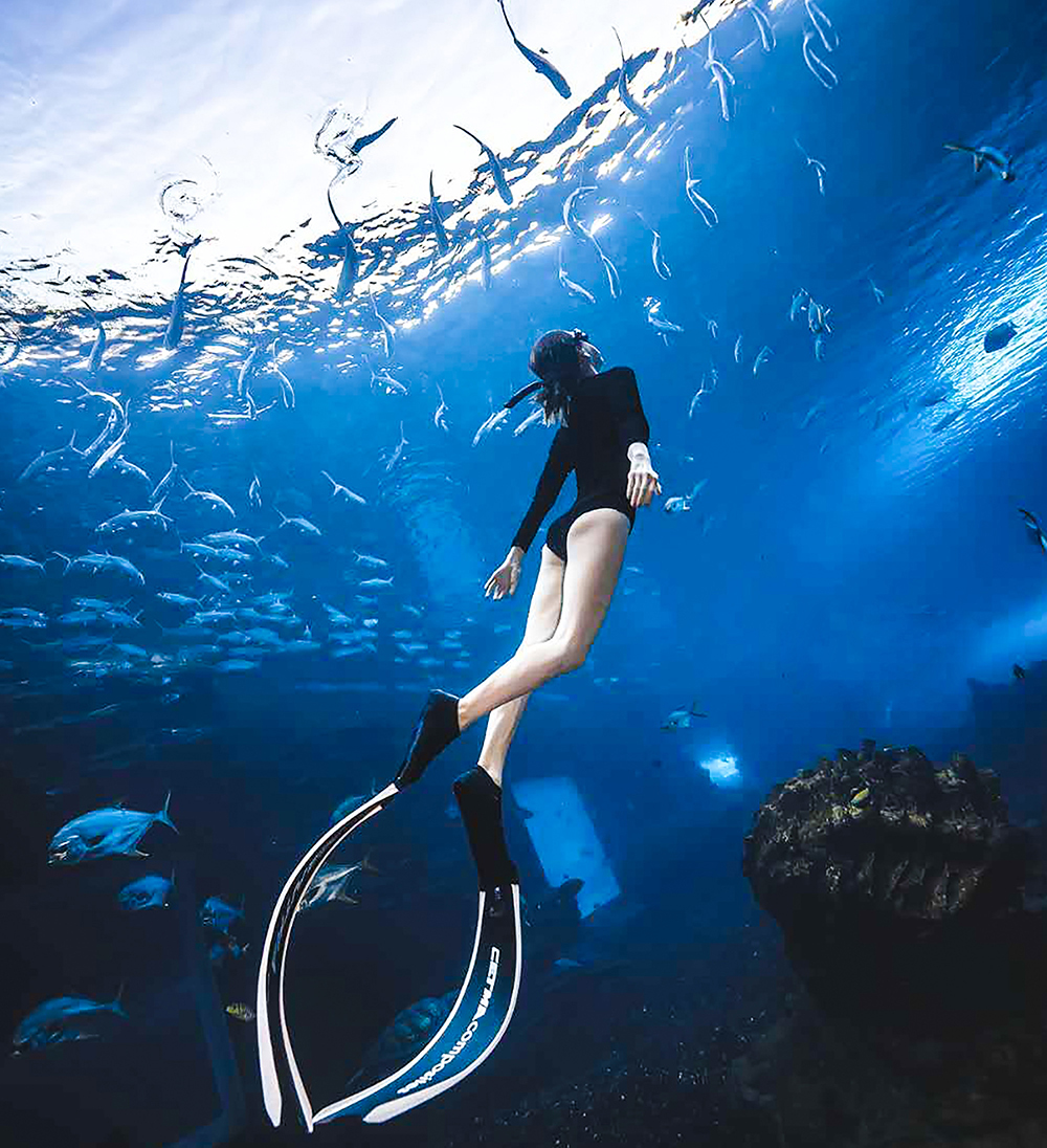 三亞水下攝影打卡地-蒂鉑海洋世界水攝項目上線(xiàn)了