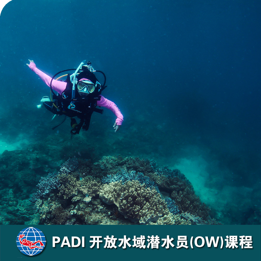 三亞PADI開(kāi)放水域潛水員課程