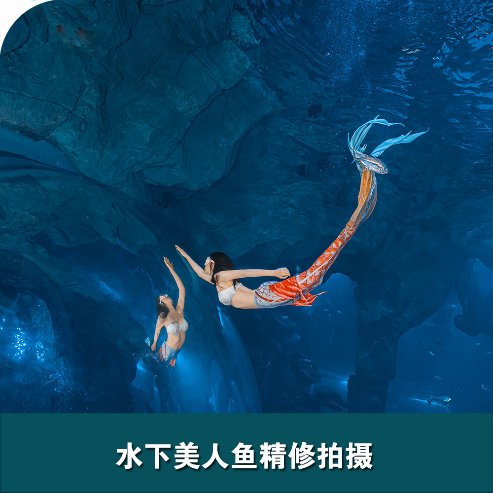 舟山長(cháng)喬海洋公園水下美人魚(yú)拍攝