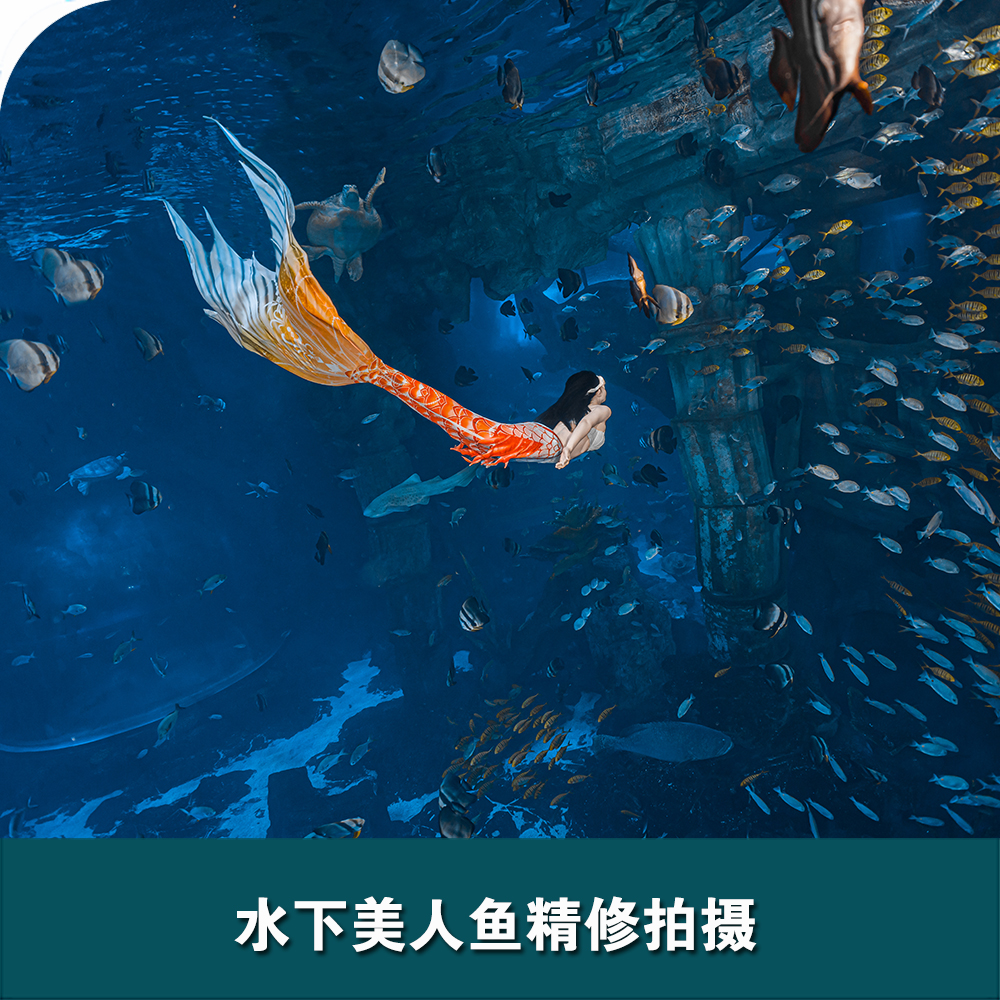 舟山長(cháng)喬海洋公園水下美人魚(yú)拍攝