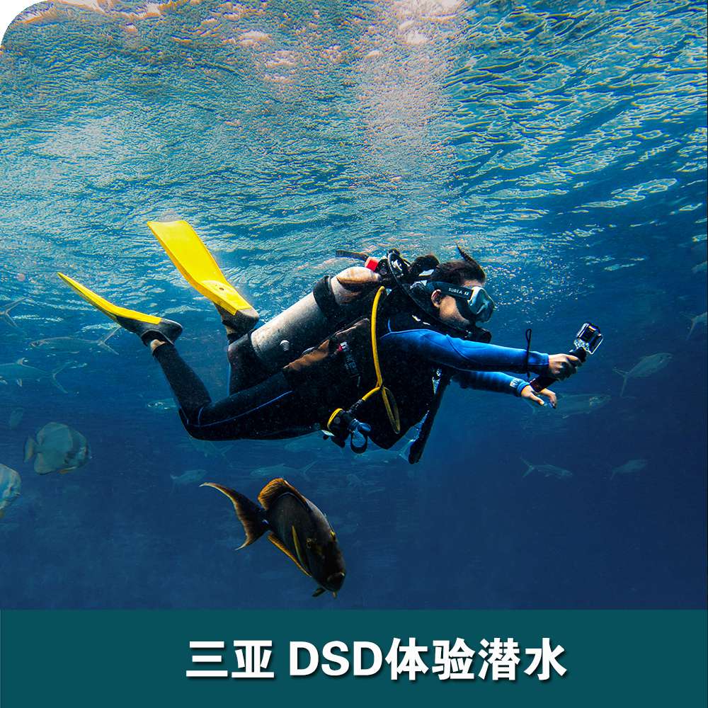 三亞洲際酒店DSD體驗潛水
