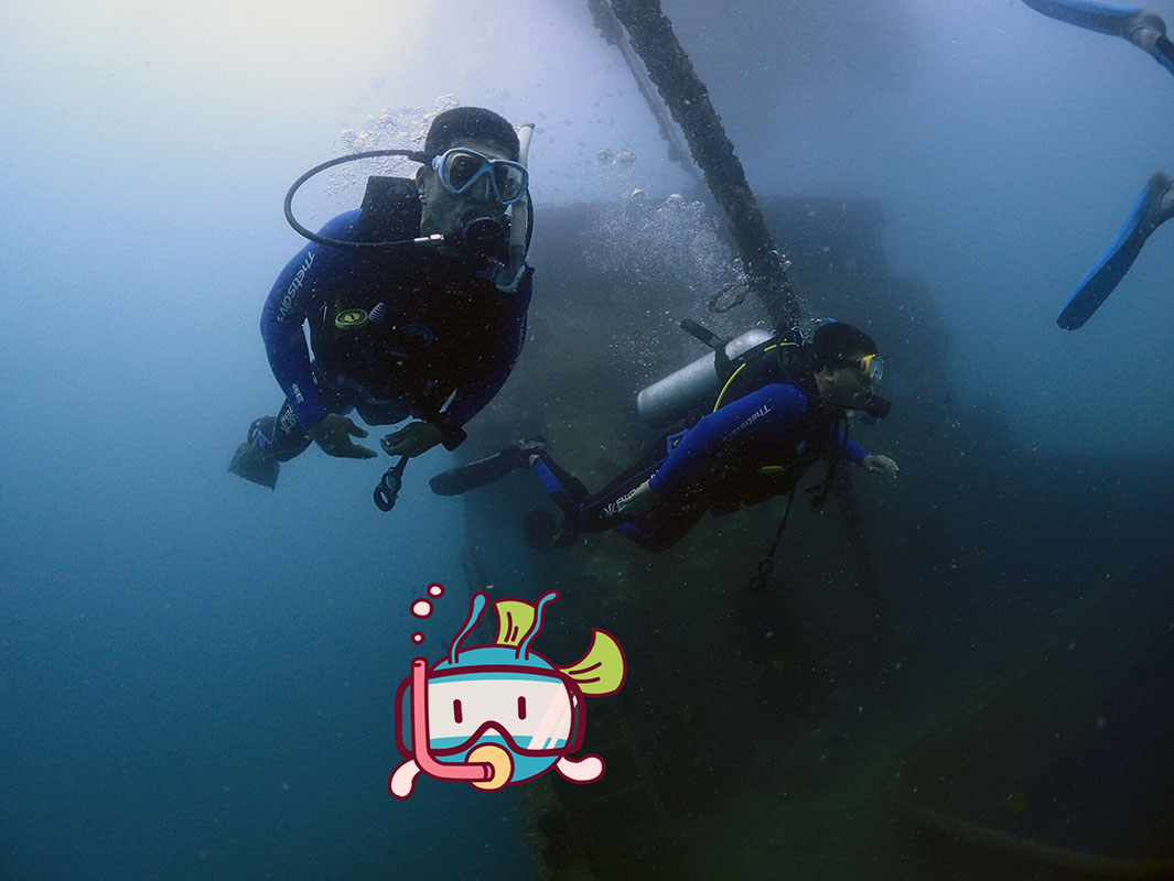 除了俯瞰大地的飛翔，還有潛入海底的翱翔。