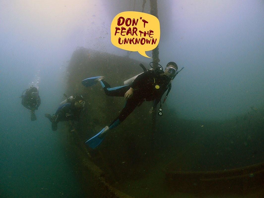 除了俯瞰大地的飛翔，還有潛入海底的翱翔。