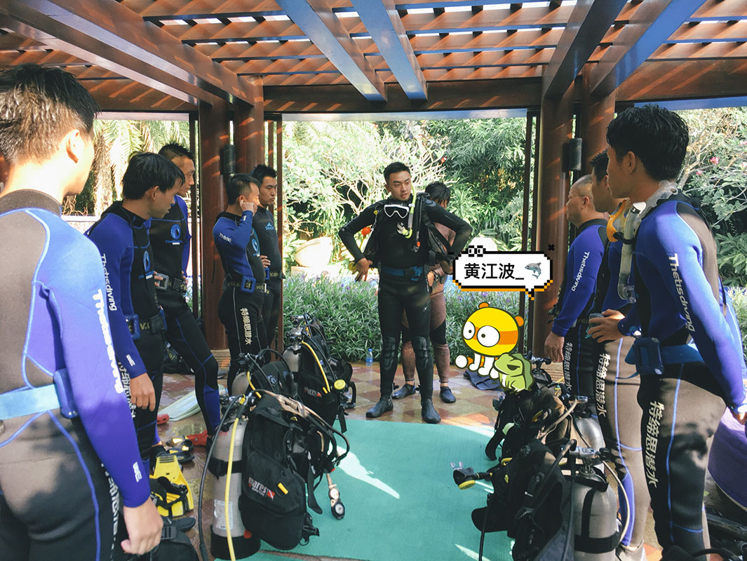 除了俯瞰大地的飛翔，還有潛入海底的翱翔。