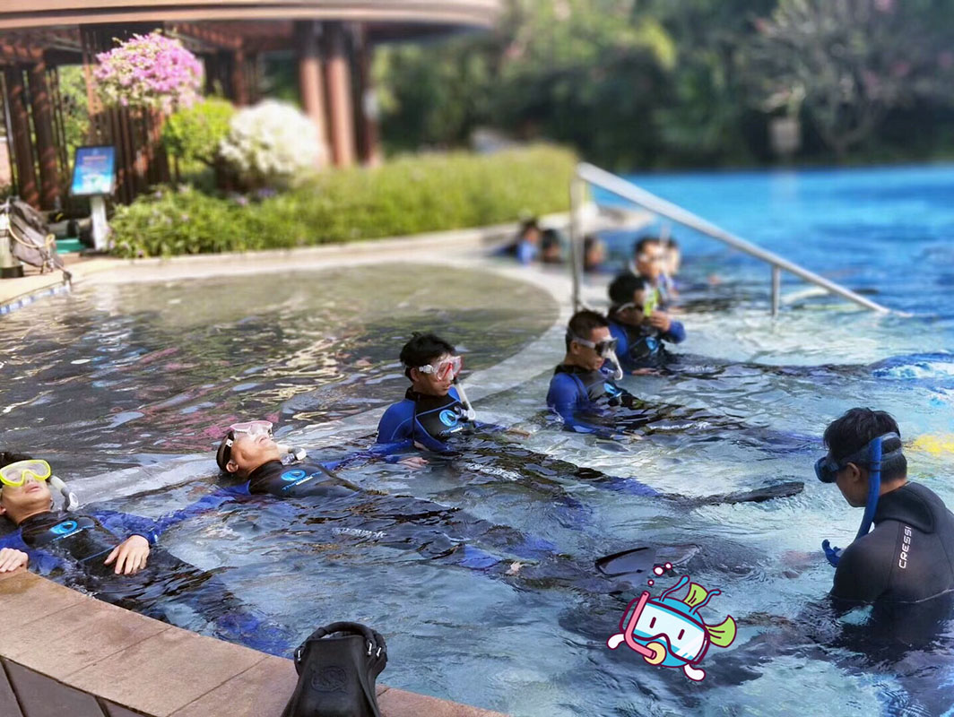 除了俯瞰大地的飛翔，還有潛入海底的翱翔。