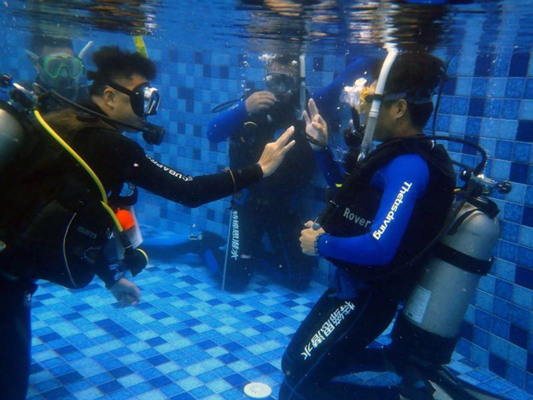 除了俯瞰大地的飛翔，還有潛入海底的翱翔。
