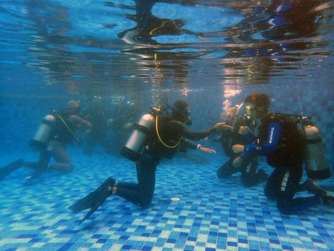 除了俯瞰大地的飛翔，還有潛入海底的翱翔。