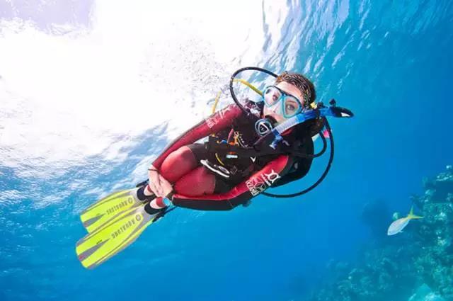 PADI 專(zhuān)長(cháng)課程丨帶給你探索海洋世界的無(wú)限可能