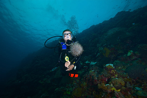 什么是耳壓平衡？